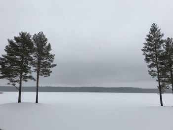 Trees on snow covered field against sky during winter