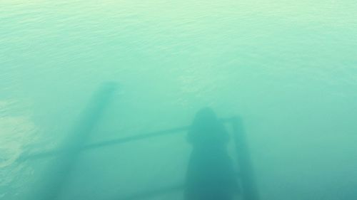 Silhouette of people in background