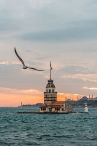 Seagull flying over sea against sky