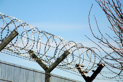 Low angle view of barbed wire against blue sky