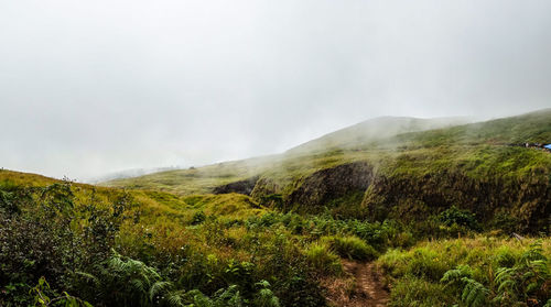 Scenic view of landscape against sky