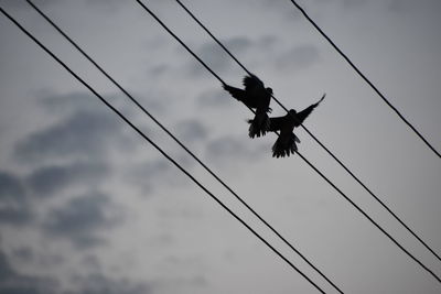 Low angle view of silhouette bird flying against sky