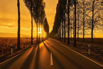 Empty road along trees at sunset