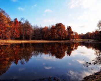 Reflection of trees in lake against sky