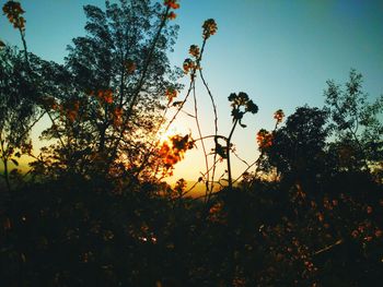 Silhouette of trees against sky at sunset