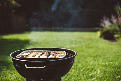 Close-up of grass against blurred background