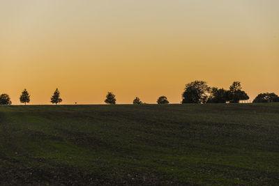 Trees on field against clear sky during sunset