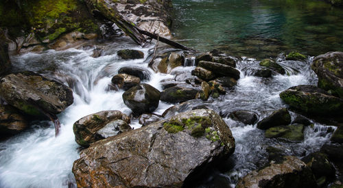 Scenic view of waterfall in forest