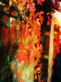 Low angle view of light bulb