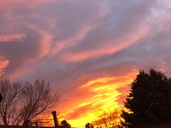 Low angle view of silhouette trees against sky at sunset