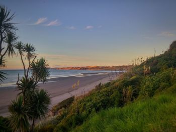 Scenic view of beach against sky