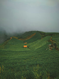landscape