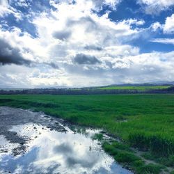 Scenic view of agricultural field against sky