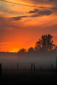 Silhouette trees on field against orange sky