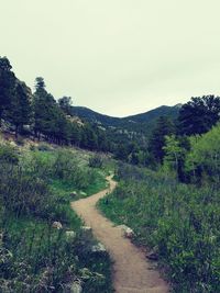 Scenic view of landscape against clear sky