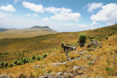 Scenic mountain landscapes against sky at the la satima dragons teeth in the aberdares, kenya