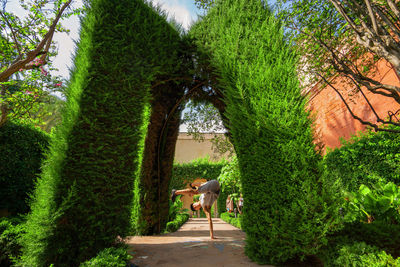 View of a garden