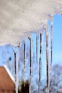 Close-up of icicles