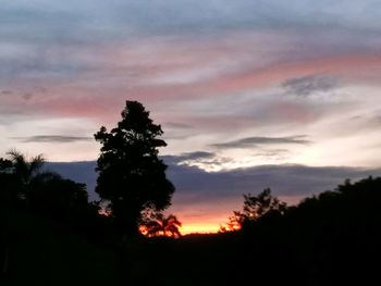 Low angle view of silhouette trees against sky during sunset