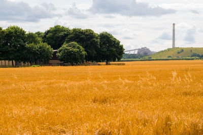 Scenic view of field against cloudy sky