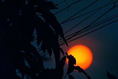 Low angle view of silhouette tree against orange sky