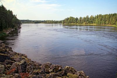 Scenic view of lake in forest against sky