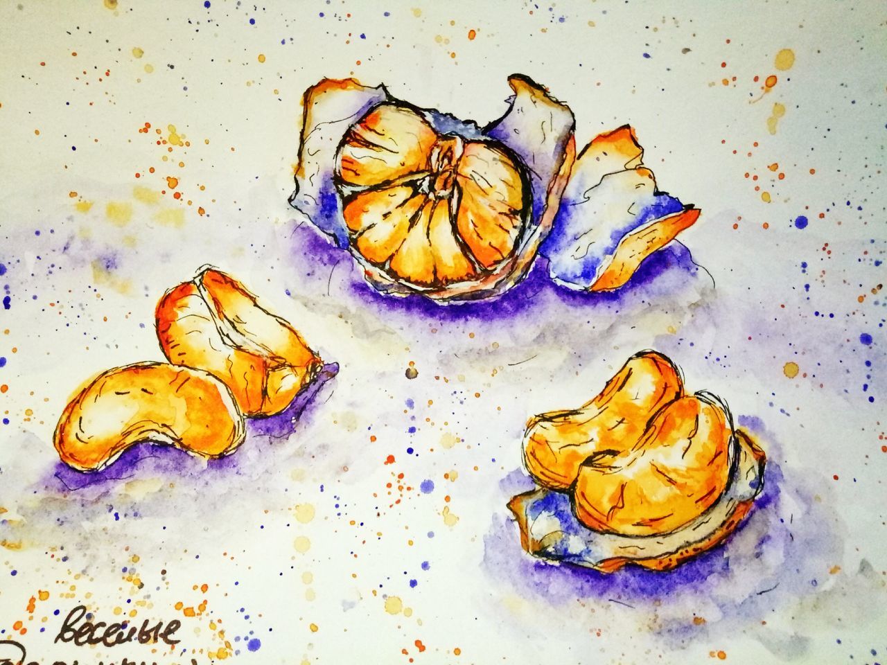 HIGH ANGLE VIEW OF SHELLS ON WHITE BACKGROUND