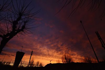 Low angle view of silhouette trees against dramatic sky