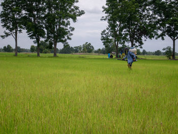 Rear view of men walking on field against sky