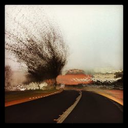 Road by trees against sky in city