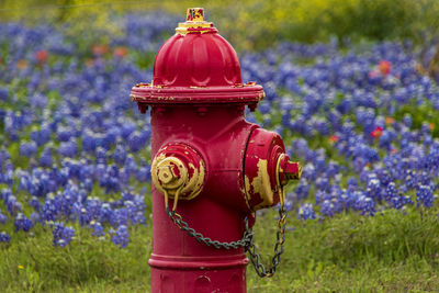 Close-up of red fire hydrant on field