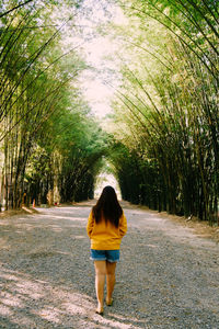 Rear view of woman walking amidst bamboos