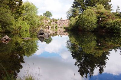 Reflection of trees and sky on water