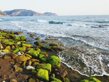 Scenic view of sea against clear sky