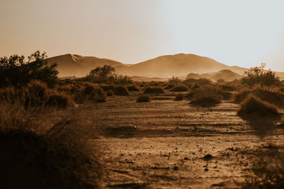 Scenic view of landscape against sky during sunset