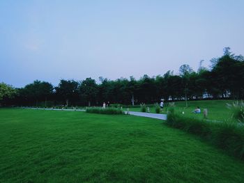 Trees on field against clear sky