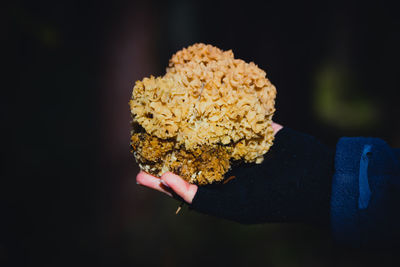 Wunderschöner pilz liegt in der hand