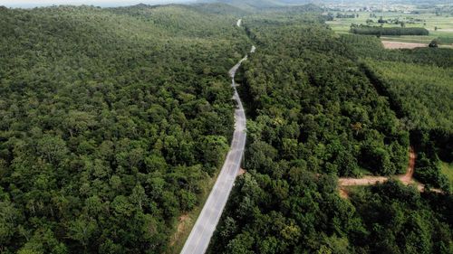 High angle view of road amidst trees