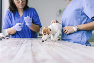 Midsection of female veterinarian examining puppy at clinic