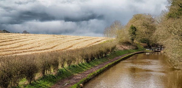 Scenic view of agricultural field against sky