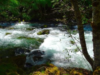 River flowing through rocks