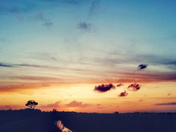 Low angle view of silhouette trees against sky during sunset