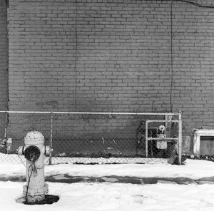 Fire hydrant on street against brick wall