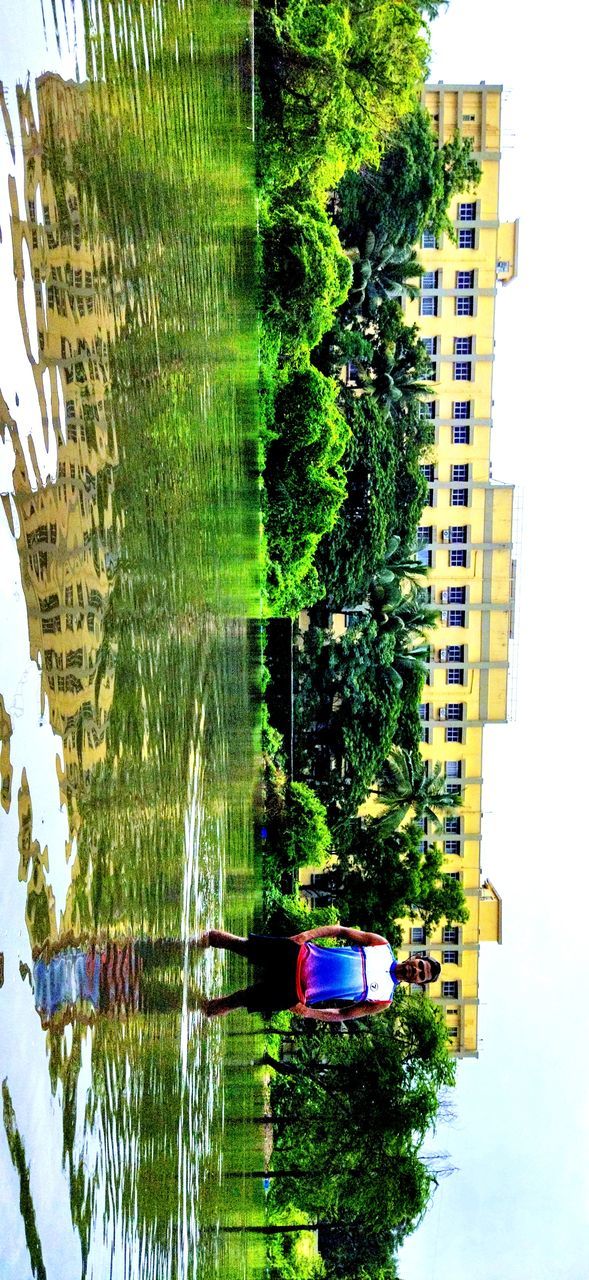 DIGITAL COMPOSITE IMAGE OF A TREE BY LAKE