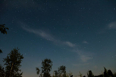 Low angle view of silhouette trees against sky at night
