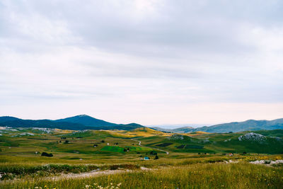 Scenic view of field against sky