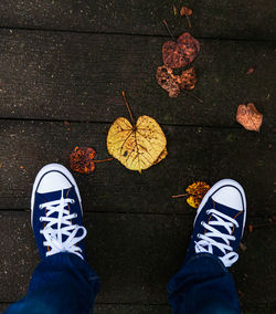 Low section of person standing on autumn leaves