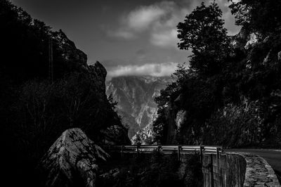 Scenic view of waterfall in forest against sky