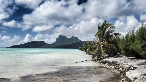 Scenic view of beach against sky