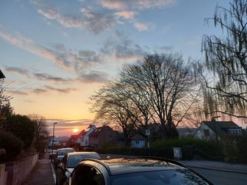 Road by trees against sky during sunset